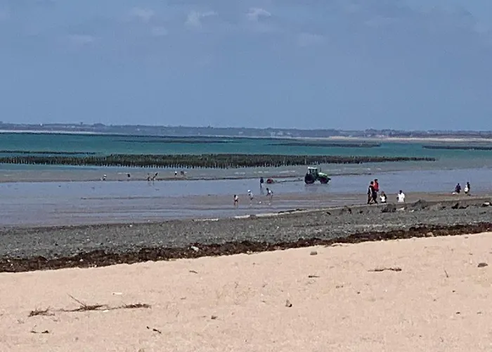 Chez Rose, Terrasse Plein Sud!